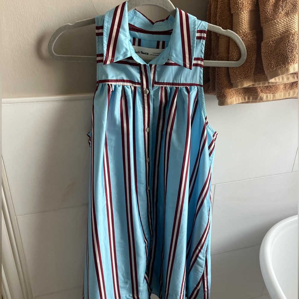 Anthropologie Blue and Burgundy Striped dress